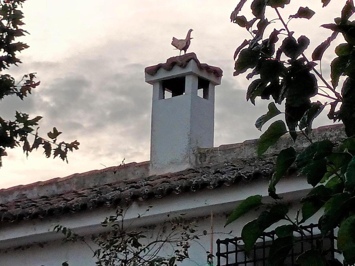 Cigarral De La Peraleda Toledo Διαμέρισμα Εξωτερικό φωτογραφία